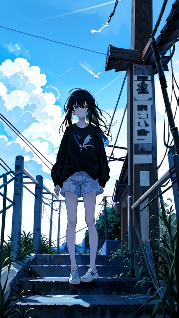 masterpiece, Exquisite detail,Highest quality, One girl, alone, handrail, cloud, 立ってNULLを見上げている,Long Hair, shoes, NULL, Long sleeve, sneakers, Power lines, White footwear, Black Hair, View your viewers, Electric pole, bangs, cloudy NULL, fish, bird, Green Eyes, Shorts, animal, Day, Black Shirt, barefoot