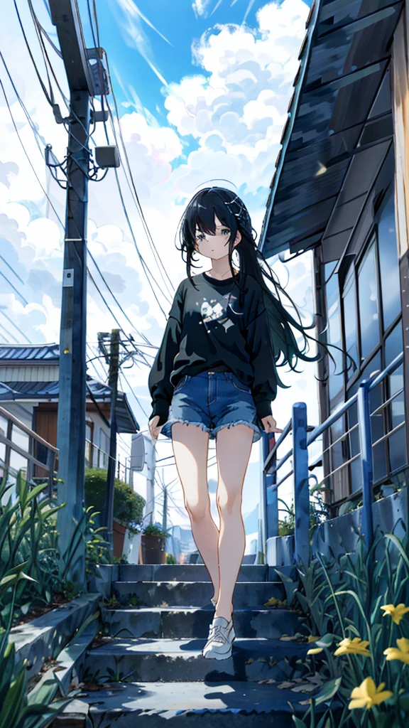 masterpiece, Exquisite detail,Highest quality, One girl, alone, handrail, cloud, 立ってzeroを見上げている,Long Hair, shoes, zero, Long sleeve, sneakers, Power lines, White footwear, Black Hair, View your viewers, Electric pole, bangs, cloudy zero, fish, bird, Green Eyes, Shorts, animal, Day, Black Shirt, barefoot