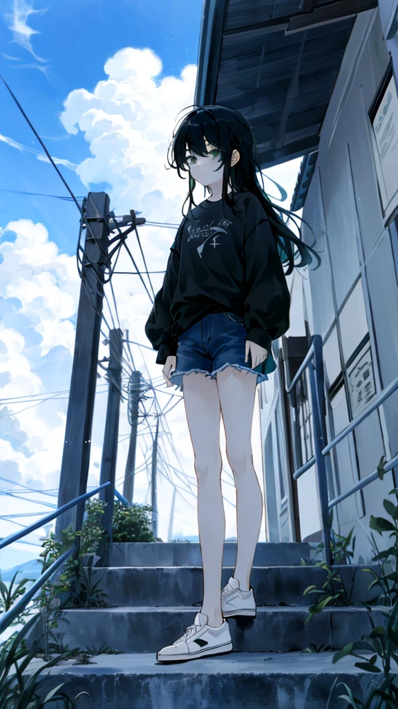 masterpiece, Exquisite detail,Highest quality, One girl, alone, handrail, cloud, 立ってzeroを見上げている,Long Hair, shoes, zero, Long sleeve, sneakers, Power lines, White footwear, Black Hair, View your viewers, Electric pole, bangs, cloudy zero, fish, bird, Green Eyes, Shorts, animal, Day, Black Shirt, barefoot