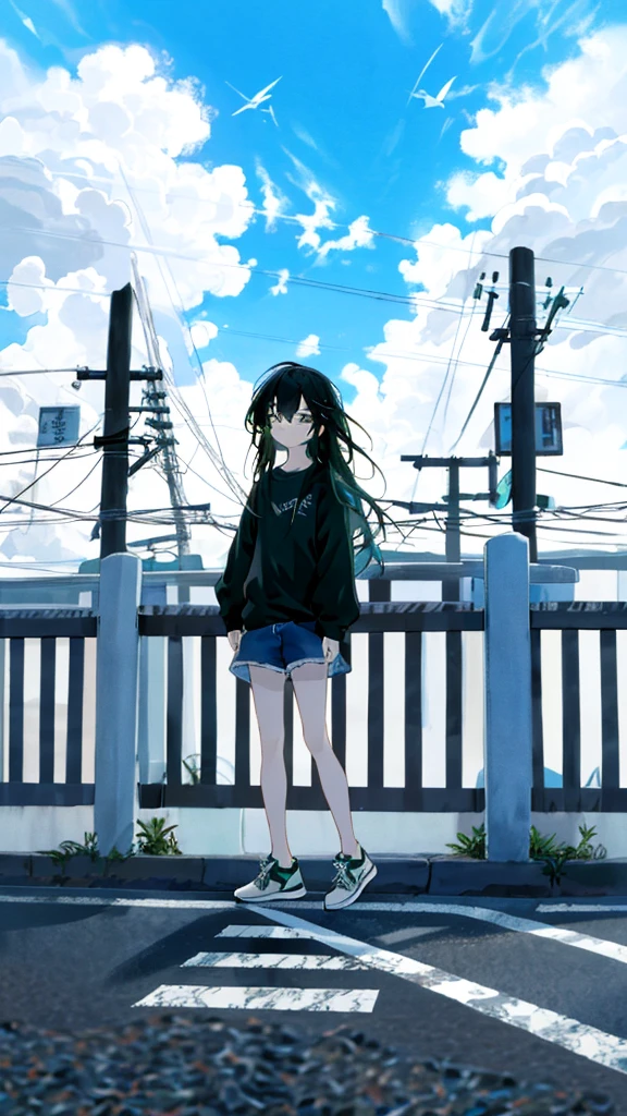masterpiece, Exquisite detail,Highest quality, One girl, alone, handrail, cloud, 座っている,Long Hair, shoes, zero, Long sleeve, sneakers, Power lines, White footwear, Black Hair, View your viewers, Electric pole, bangs, cloudy zero, fish, bird, Green Eyes, Shorts, animal, Day, Black Shirt, barefoot