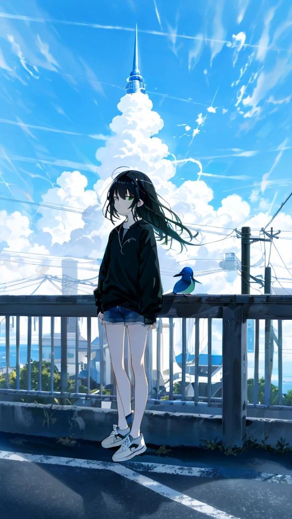 masterpiece, Exquisite detail,Highest quality, One girl, alone, handrail, cloud, 座っている,Long Hair, shoes, zero, Long sleeve, sneakers, Power lines, White footwear, Black Hair, View your viewers, Electric pole, bangs, cloudy zero, fish, bird, Green Eyes, Shorts, animal, Day, Black Shirt, barefoot