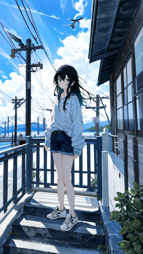 masterpiece, Exquisite detail,Highest quality, One girl, alone, handrail, cloud, 座っている,Long Hair, shoes, zero, Long sleeve, sneakers, Power lines, White footwear, Black Hair, View your viewers, Electric pole, bangs, cloudy zero, fish, bird, Green Eyes, Shorts, animal, Day, Black Shirt, barefoot