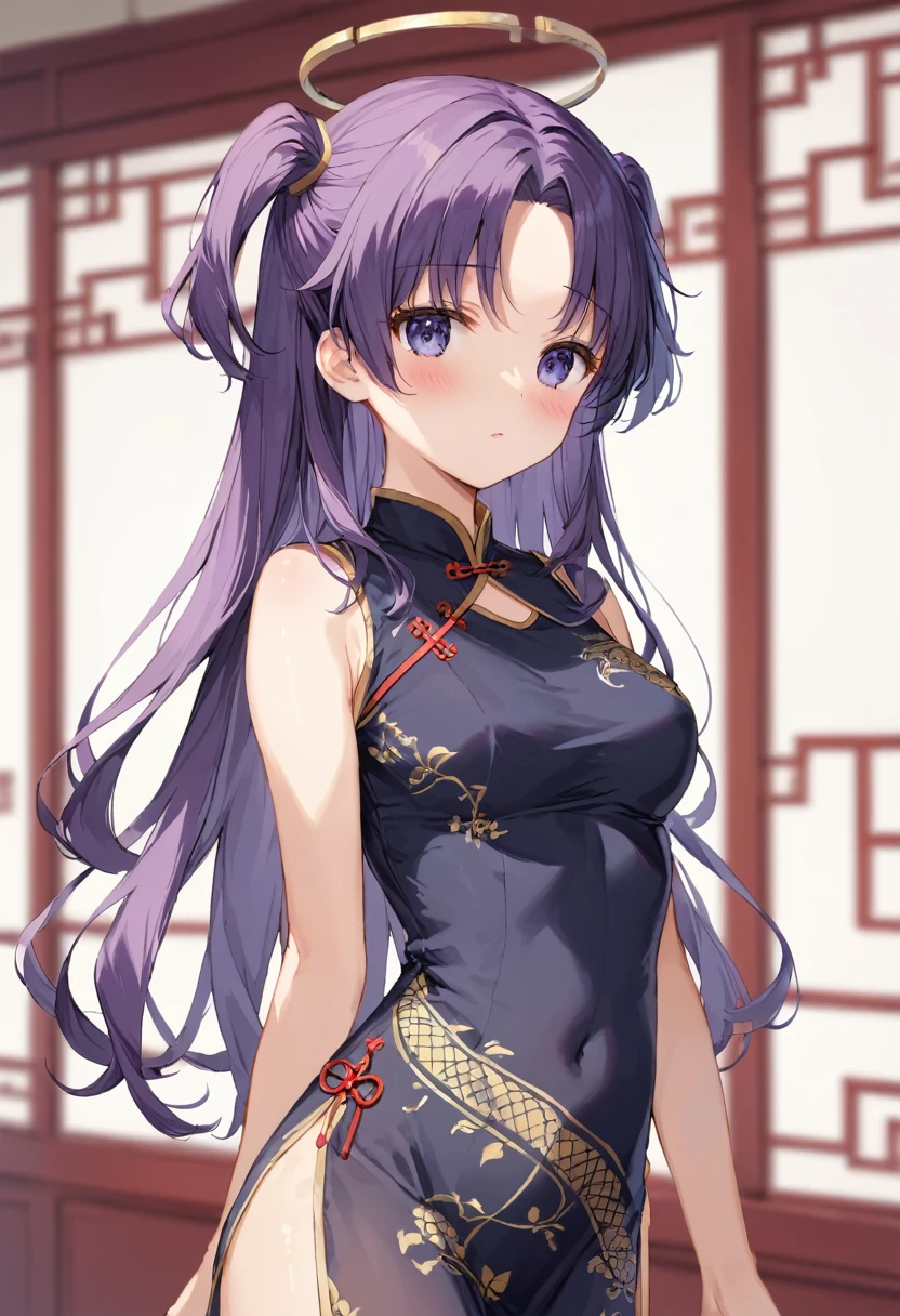 score_9,score_8_up,score_7_up,source_anime,cowboy shot,Idealized Forms,Natural Light,details background,blurry background,extremely detailed,HayaseYuuka((bulearchive),(blush),purple hair,long hair,ponytail,two side up,parted bangs,blue eyes,purple eyes,(black)mechanical_halo,(white)china dress,See-through,