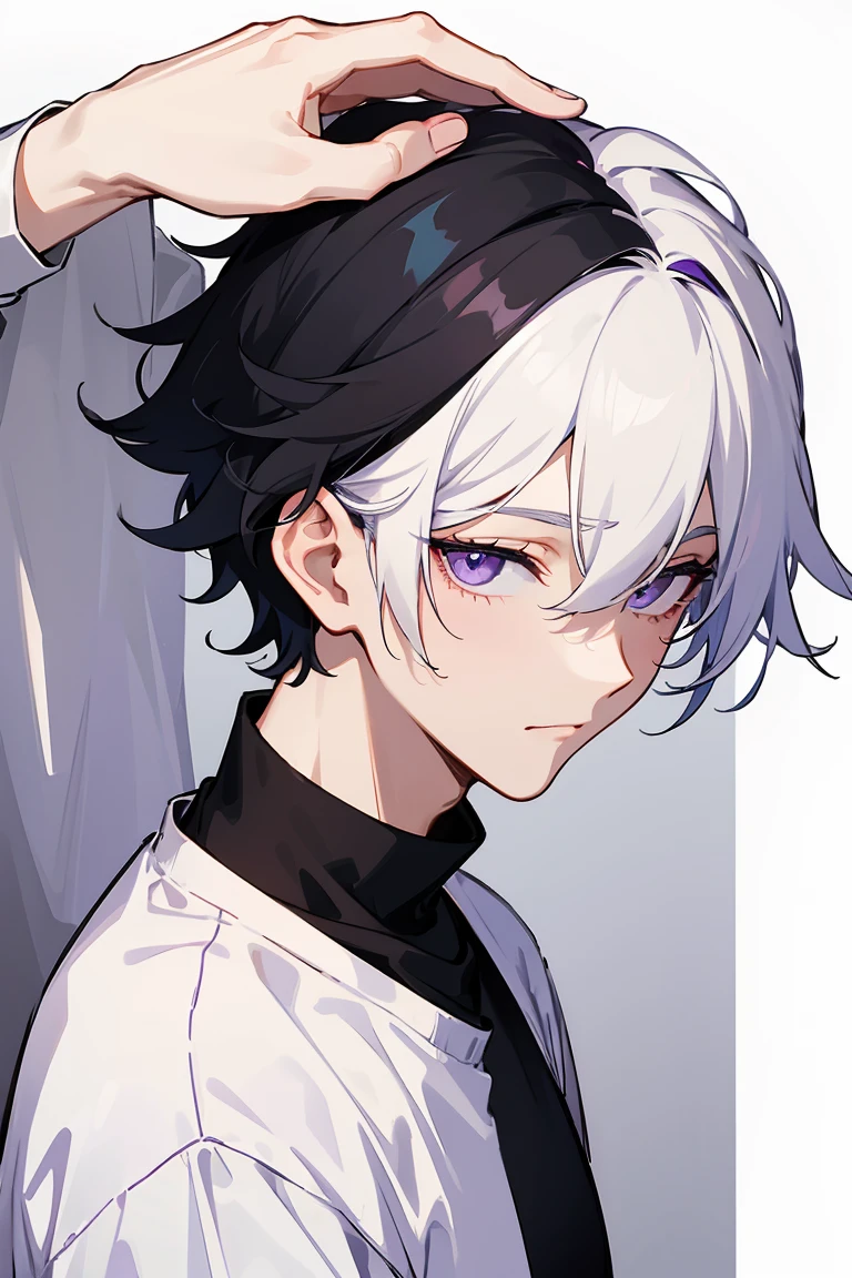 masterpiece, high quality, perfect face, 1man, male, tall, white hair, peekaboo black hair color, purple eyes, white t-shirt, black sweater