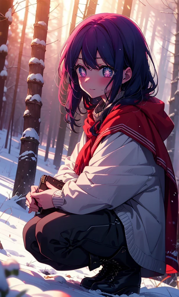 aihoshino, Ai Hoshino, Long Hair, bangs, (Purple eyes:1.1), Purple Hair, (Symbol-shaped pupil:1.5), smile,,smile,blush,White Breath,
Open your mouth,snow,Ground bonfire, Outdoor, boots, snowing, From the side, wood, suitcase, Cape, Blurred, , forest, White handbag, nature, Squat, Mouth closed, Cape, winter, Written boundary depth, Black shoes, red Cape break looking at viewer, Upper Body, whole body, break Outdoor, forest, nature, break (masterpiece:1.2), Highest quality, High resolution, unity 8k wallpaper, (shape:0.8), (Beautiful and beautiful eyes:1.6), Highly detailed face, Perfect lighting, Extremely detailed CG, (Perfect hands, Perfect Anatomy),