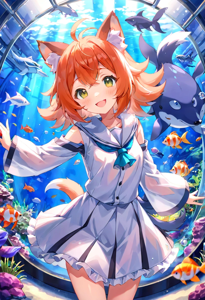 super high resolution, detailed background, aquarium, boy, girl, Happy, joyful, absurdres(Photos of solo travelers)(kemono, furry anthro),