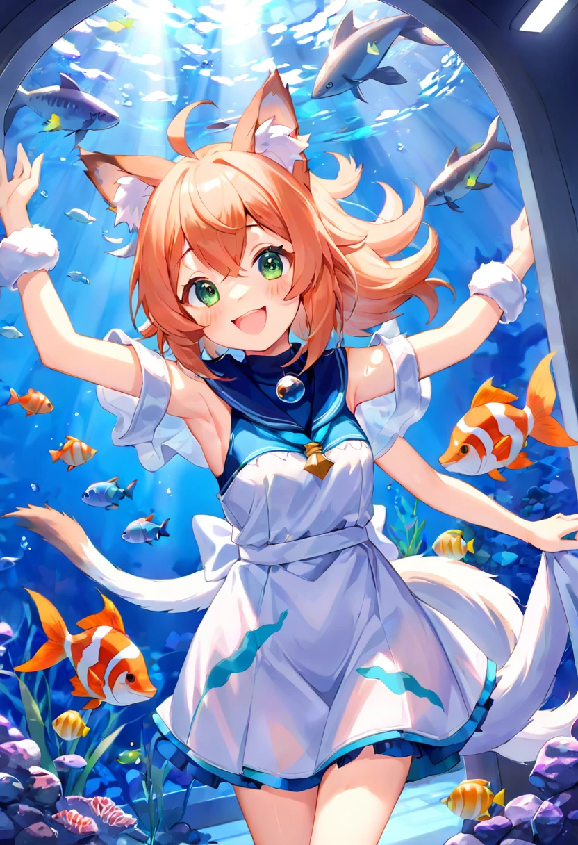 super high resolution, detailed background, aquarium, 1girl, Happy, joyful, absurdres(Photos of solo travelers)(kemono, furry anthro),