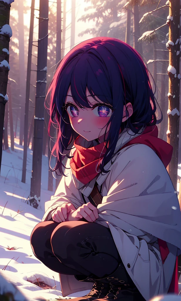 aihoshino, Ai Hoshino, Long Hair, bangs, (Purple eyes:1.1), Purple Hair, (Symbol-shaped pupil:1.5), smile,,smile,blush,White Breath,
Open your mouth,snow,Ground bonfire, Outdoor, boots, snowing, From the side, wood, suitcase, Cape, Blurred, , forest, White handbag, nature,  Squat, Mouth closed, Cape, winter, Written boundary depth, Black shoes, red Cape break looking at viewer, Upper Body, whole body, break Outdoor, forest, nature, break (masterpiece:1.2), Highest quality, High resolution, unity 8k wallpaper, (shape:0.8), (Beautiful and beautiful eyes:1.6), Highly detailed face, Perfect lighting, Extremely detailed CG, (Perfect hands, Perfect Anatomy),