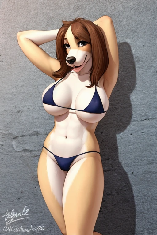 Basset hound bikini