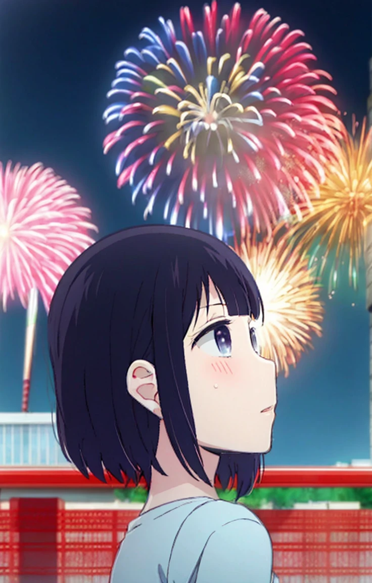 Yasuraoka Fireworks,Incitement,Look up