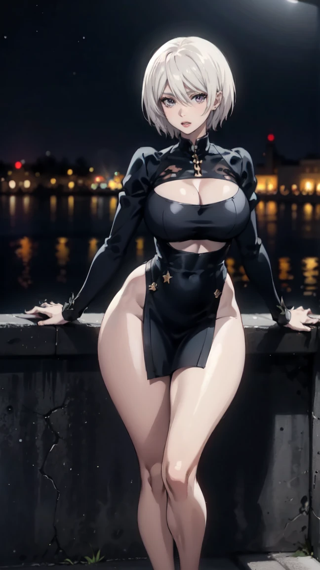 (masterpiece, best quality, perfect face, (beautiful and aesthetic:1.2), extremely detailed, highest detailed face), (2B ,short white hair, (flawless pale skin:1.3), fake breasts, (narrow waist), (thicc thighs), wide hips, long legs), (slender body:1.2), ((night:1.4)), (long sleeves, dress, ), (sexy pin-up pose:1.3), (high quality, hyperrealistic, CG, unity, 4k),