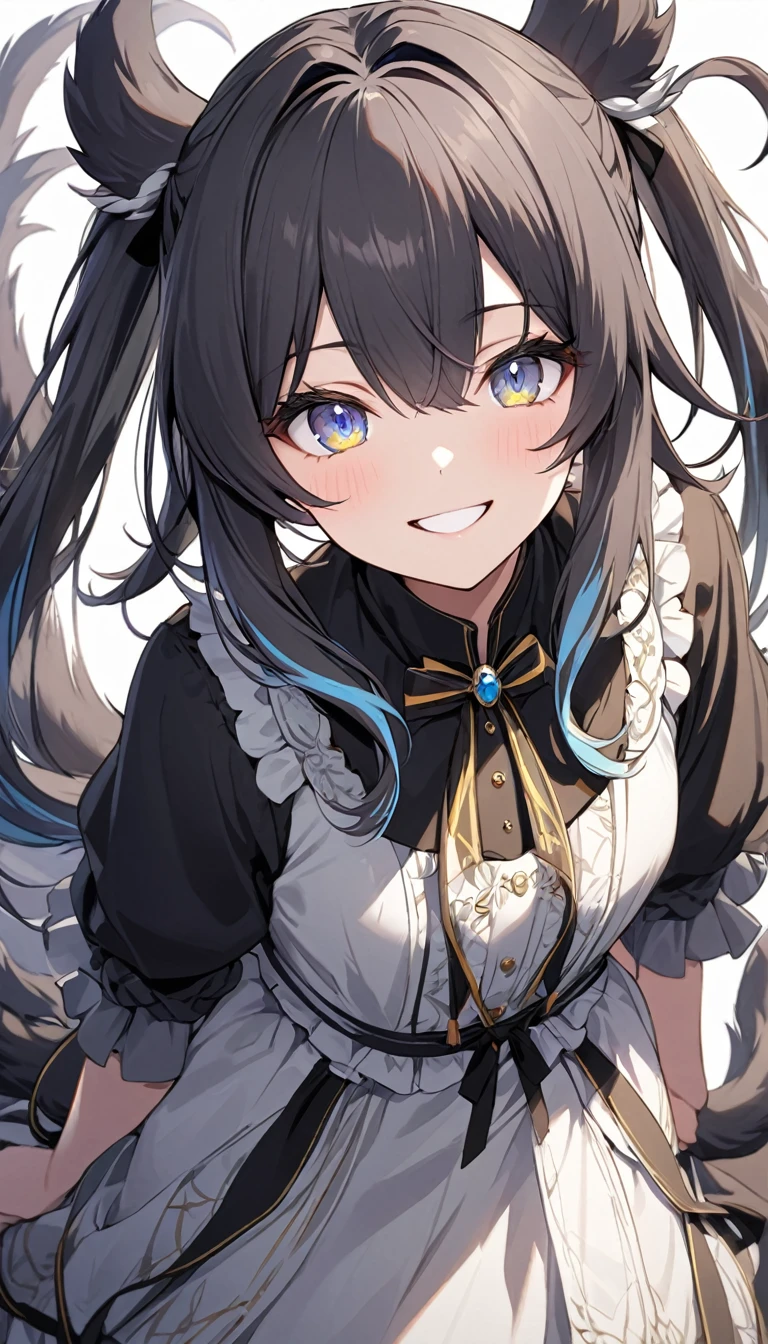 (Double tail), Colored highlighted hair, dark gray long hair,, 1個女孩綁著Double tail, highly detailed eyes, dress, Smile