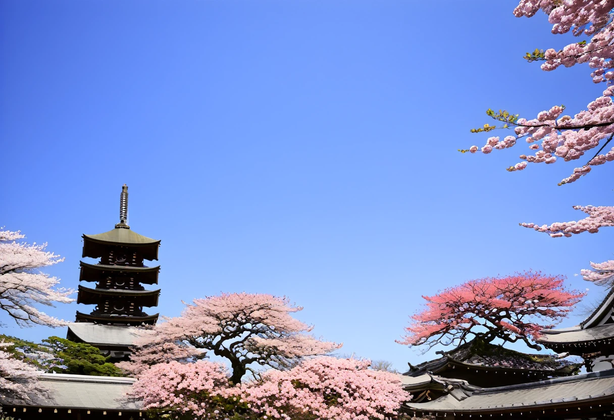 japanese temple Sakura garden, Sakura, blue sky
