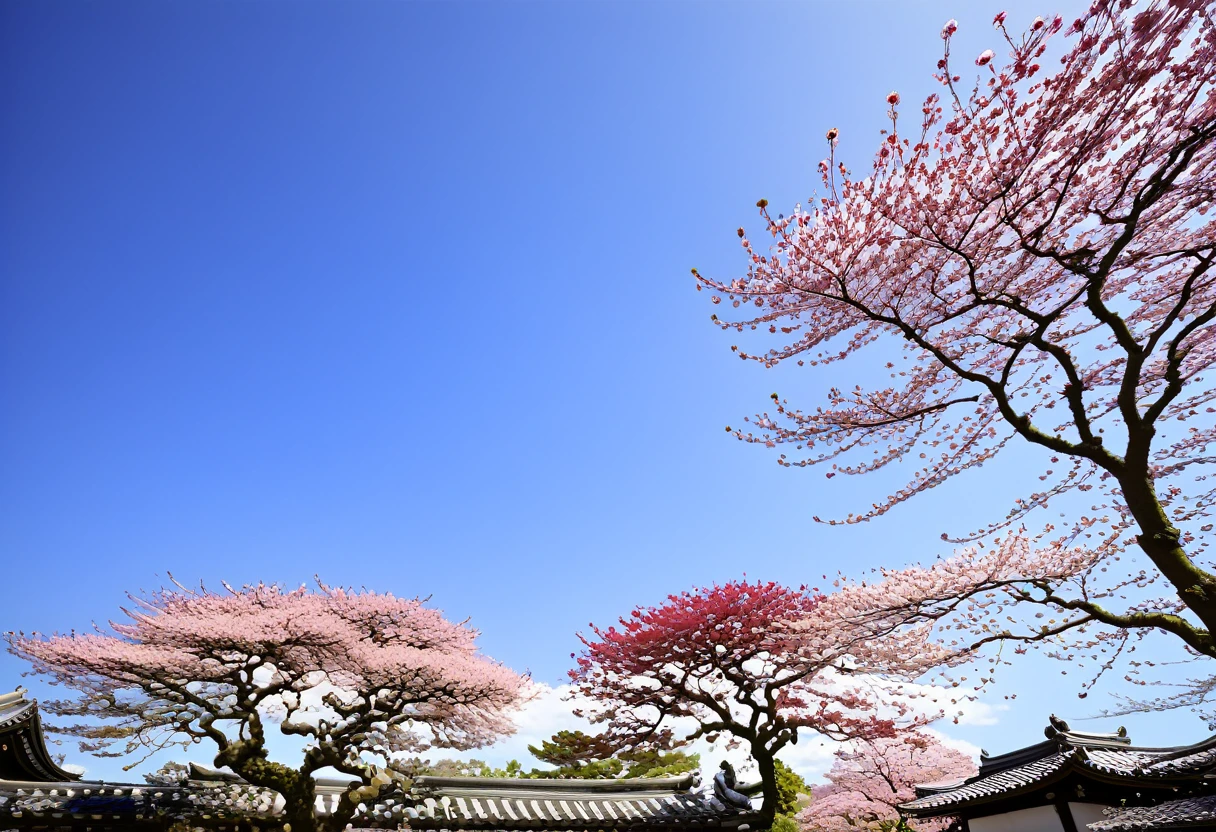 japanese temple Sakura garden, Sakura, blue sky