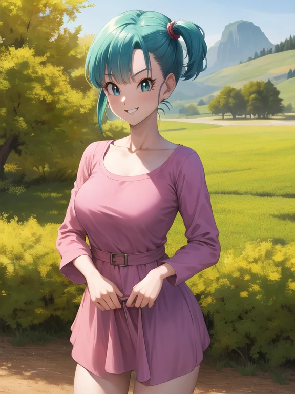 masterpiece, best quality, highres, dragon ball, blmsdup, bulma, aqua hair, one side up, pink dress, long sleeves, collarbone, medium breasts, outdoors, standing, cowboy shot, (dress lift:1.2), evil smile,