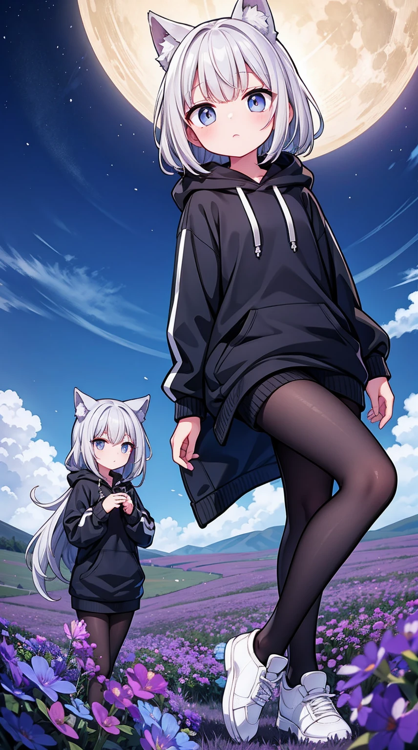 1 Sister、Braided side up wolf cut straight hair、Grey Hair、Golden Eyes、Black hooded jumper、Grey long neck knit、Very big 、Black shorts、Gray sneakers、Black Pantyhose、Doing parkour moves、Looking up at the sky、A flower field glowing pale at night、Pale Moon、Sharp Eyes、Star Rail