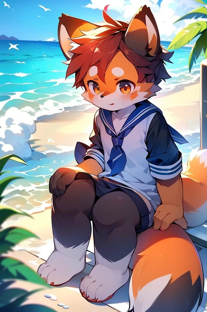 Male Red Panda，Ocean，Appearing in a sailor uniform！One person estrus period，sit，