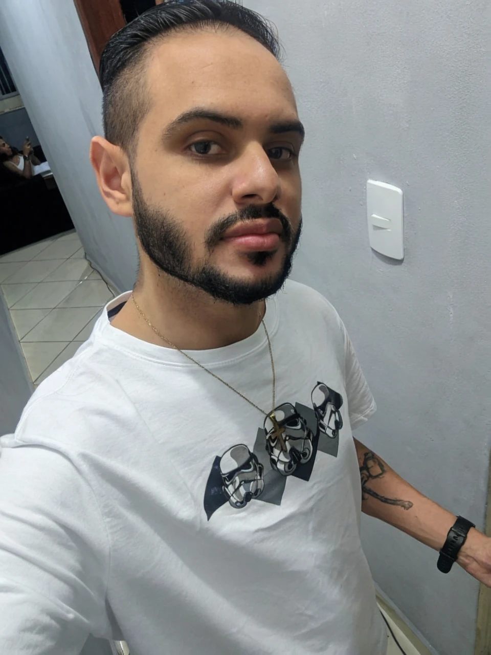 Retrato realista de um menino de sete anos, Ele usa uma camisa vermelha . Your face is and exploratory . Ele sai cautelosamente para o jardim da casa,  A small cat is among the bushes and he touches it cautiously ,Not facing the camera,, Hair is messy , 