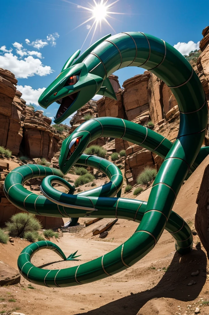 Un maestro Pokémon un rayquaza 
