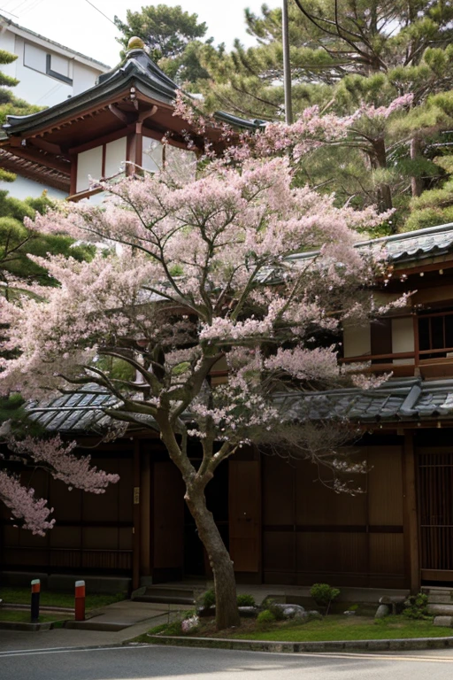 Economic Growth of the Japanese miracle