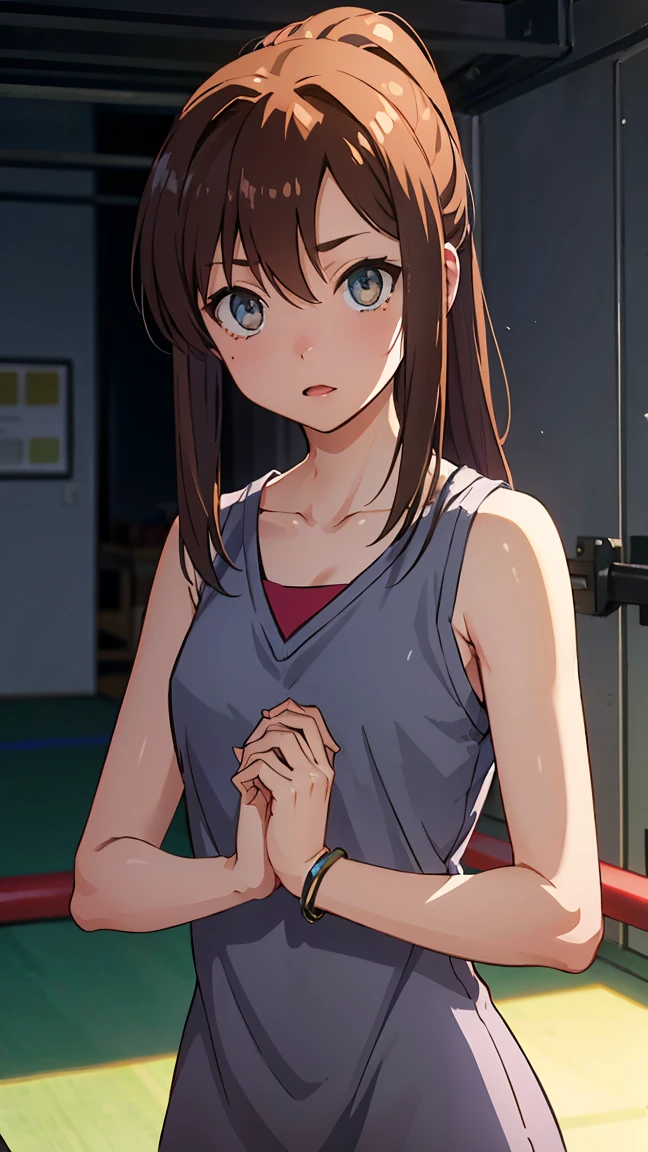 an1, brown eyes, ponytail, 
BREAK (bare_shoulders,collarbone,sleeveless,Grey_dress:1.2),
BREAK gym, wrist bands, punching bag, fists, looking at you,
BREAK (masterpiece:1.2), best quality, high resolution, unity 8k wallpaper, (illustration:0.8), (beautiful detailed eyes:1.6), extremely detailed face, perfect lighting, extremely detailed CG, (perfect hands, perfect anatomy),