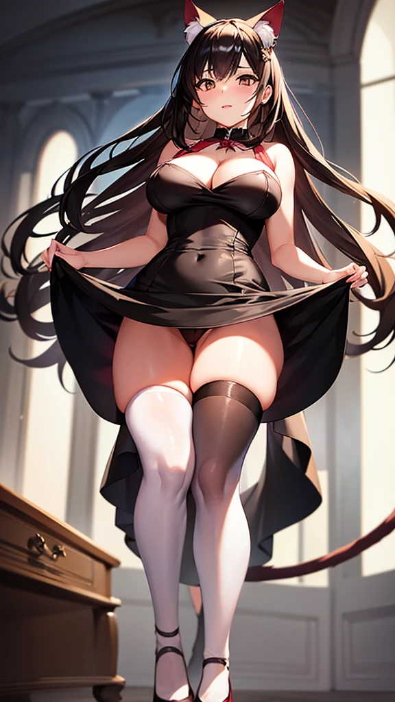 A woman, half cat, wide breasts, brown eyes, wearing a white and black dress, red stockings, and standing, and very sexy