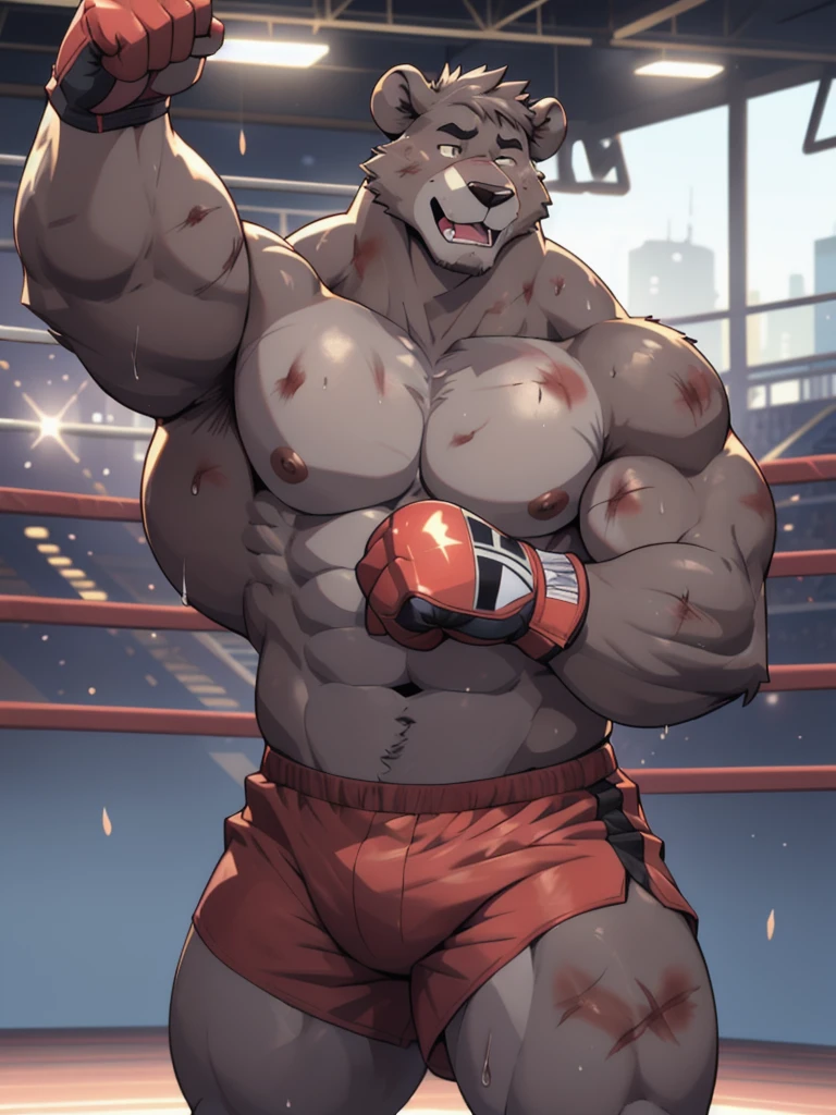 Lora:baloo, full height. 4k, high resolution, best quality, posted on e621, solo, anthro body, male bear, adult, masculine, (thick, strong pectorals, defined muscles, muscular shoulders), correct anatomy, (boxing ring background, gym background), (blurry background, out-of-focus background:1.2), (by wfa:1.0), (by takemoto arashi:1.0), (by Taran Fiddler:0.5), sexy, (cel shaded, cartoony shading:1.2), black lineart, black outline, flat coloring, (strong shadows, dark shadows:1.2), (pink shorts, topless, boxing gloves), sexy shadows, lion tail, slim posture, open mouth, open:1 eyes, detailed eyes, tilted head, exhausted, wet sweat:1.2, (bruised:1.6, shiner:1.2), lying