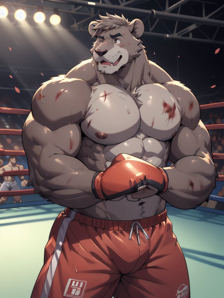 Lora:baloo, full height. 4k, high resolution, best quality, posted on e621, solo, anthro body, male bear, adult, masculine, (thick, strong pectorals, defined muscles, muscular shoulders), correct anatomy, (boxing ring background, gym background), (blurry background, out-of-focus background:1.2), (by wfa:1.0), (by takemoto arashi:1.0), (by Taran Fiddler:0.5), sexy, (cel shaded, cartoony shading:1.2), black lineart, black outline, flat coloring, (strong shadows, dark shadows:1.2), (pink shorts, topless, boxing gloves), sexy shadows, lion tail, slim posture, open mouth, open:1 eyes, detailed eyes, tilted head, exhausted, wet sweat:1.2, (bruised:1.6, shiner:1.2), lying