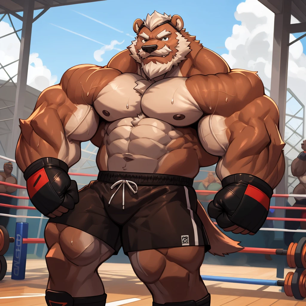 solo, 1boy, Huge Muscular Old Grizzly Bear champion, pectoral, huge pumped pectoral, wide pumped pectoral, steroids, short white hair, black boxing shorts, black boxing gloves and shirtless and topless, black wrestling boots, bearded, Mustache, correct anatomy, gym background, gym equipments, masterpiece, high detailed, 8k, high resolution, at the gym, sweating posing, looking at the camera 