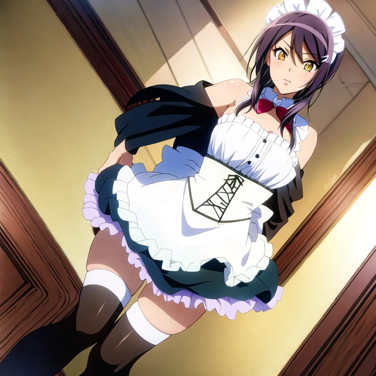 (masterpiece, best quality:1.2), 1girl, solo, maid, dress, maid headdress, yellow eyes, black hair, black thigh high socks, skirt, frill collar, 