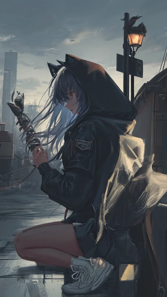 ((Yoru)), sitting,was, annoyed,clothes and school, bright Eyes, circular pupils,dark background, dark environment, Dark style, dark outline, fondo bright Eyes, atmosphere horror horror,dark art,Long Hair, Masterpiece, intricately details,Best quality, 1girll, Solo, Bird, Hood, Sitting, Long hair, shoes, Jacket, blackfootwear, Hood down, animal on shoulder, whaite hair, Animal, blue jacket, Sneakers, sign, Cloud, bangs, Long sleeves, From the side Side, Hoodie, profile, Outdoors, bird on shoulder, sky, jaqueta com capuz