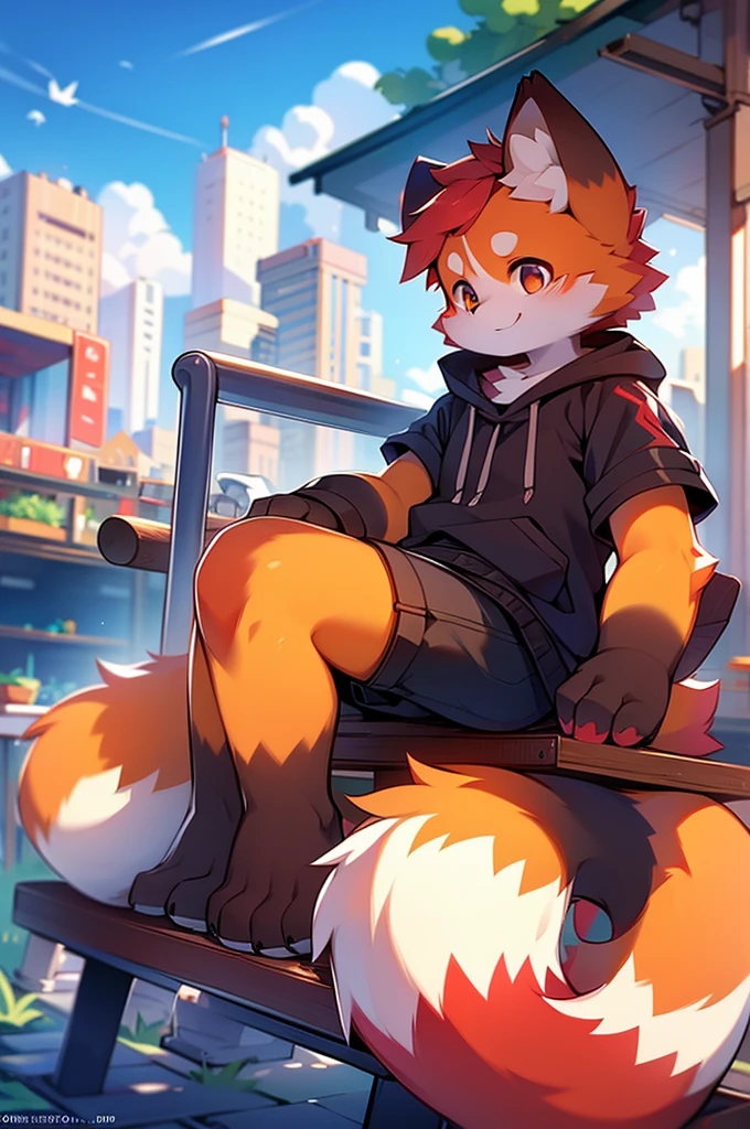 Male Red Panda，Sit on a bench，Cityscape，Port cities！