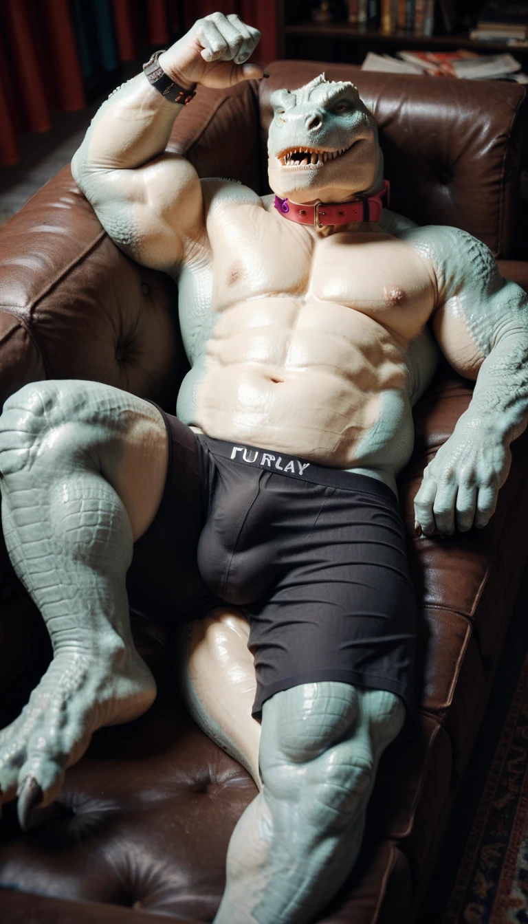 white anthro tyrannosaurus with chubby build, big thick tail, giant bulge in boxers,, with collar, lying on sofa dynamic pose