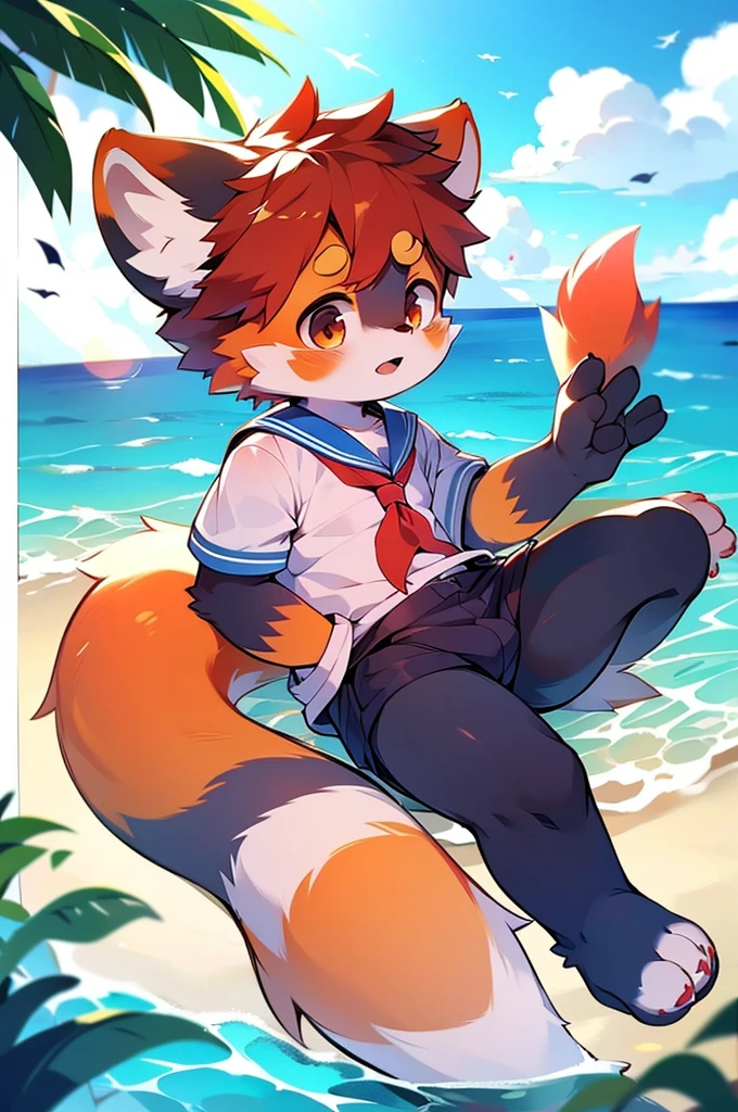 Male Red Panda,Ocean,Appeared in a sailor uniform!