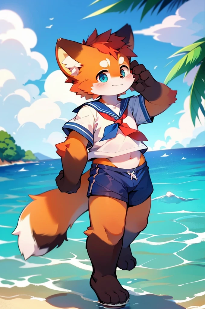 Male Red Panda,Ocean,Appeared in a sailor uniform!