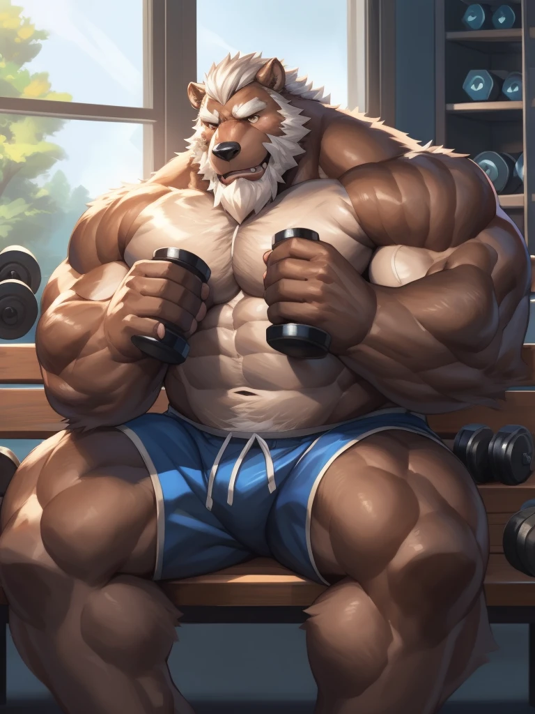 strong grizzly daddy,Brown skin,White hair and beard,Manly,Sit on the bench,holding two dumbbells in two hands,Only gym shorts,Bright and tidy gym,window,weight equipments,bodybuilding, More details,by adios, by null-ghost, by lindong