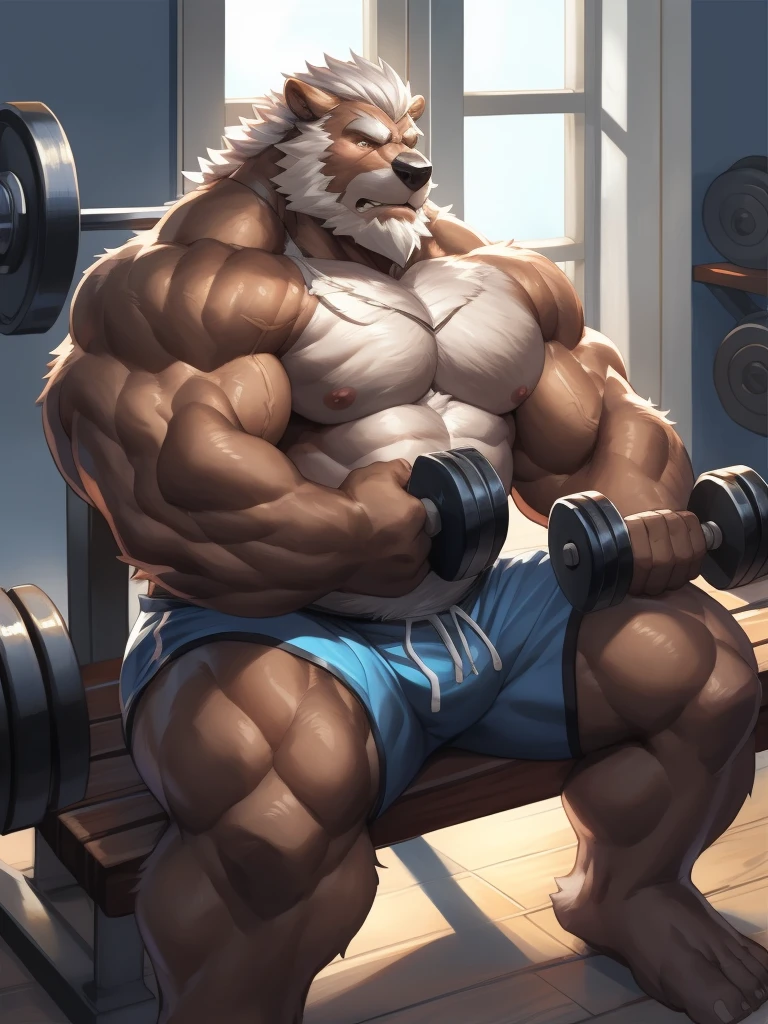 strong grizzly daddy,Brown skin,White hair and beard,Manly,Sit on the bench,holding two dumbbells in two hands,Only gym shorts,Bright and tidy gym,window,weight equipments,bodybuilding, working out, More details,by adios, by null-ghost, by lindong