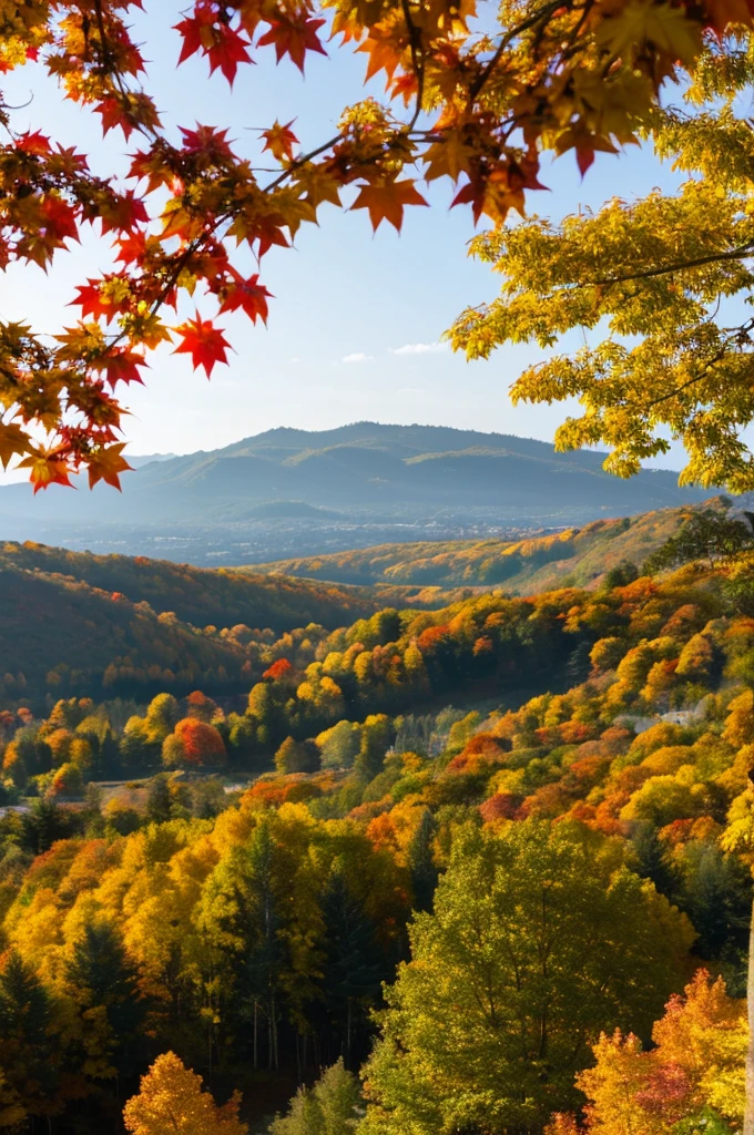 Autumn leaves　Spectacular views　Mountain　