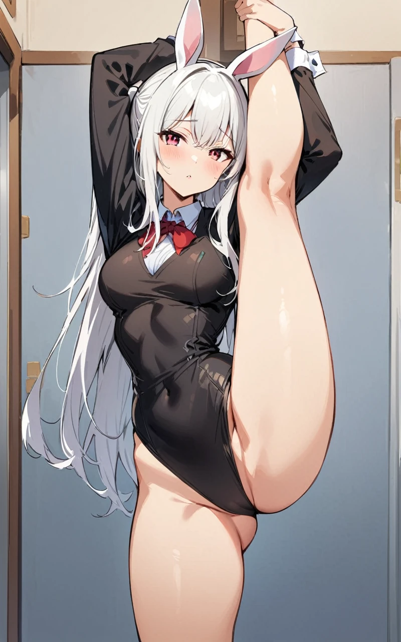 (masterpiece, highest quality:1.2), 1 girl, alone,Are standing_Split,
long hair,Bunny Girl