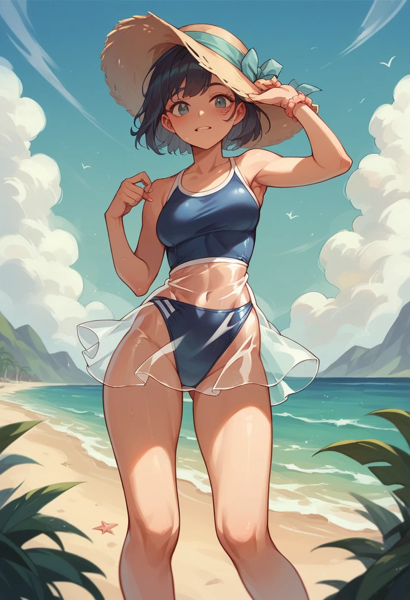 Beach swimsuit girl，Transparent skirt，