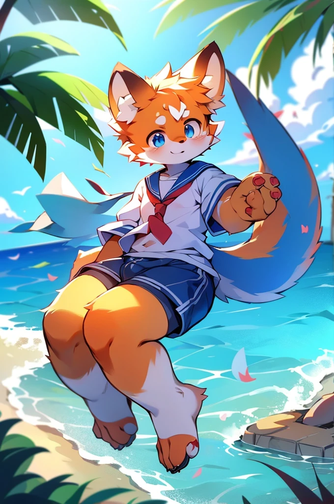 Male Red Panda，Ocean，Appeared in a sailor uniform！