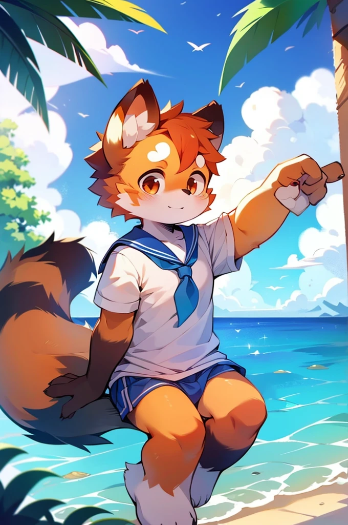 Male Red Panda，Ocean，Appeared in a sailor uniform！