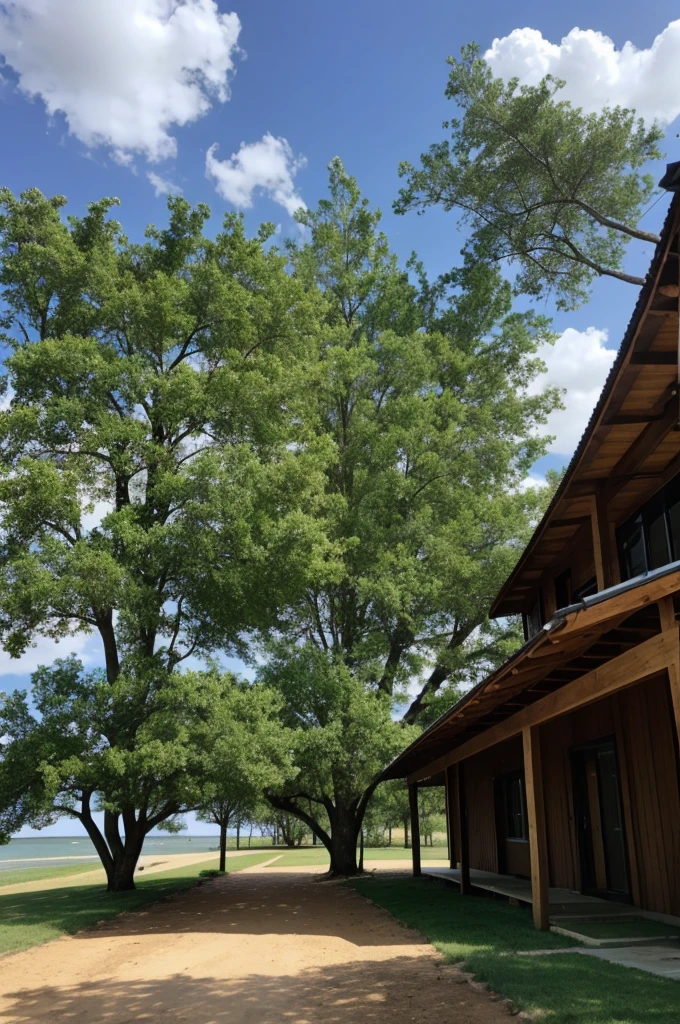 2 trees in half holding up a roof