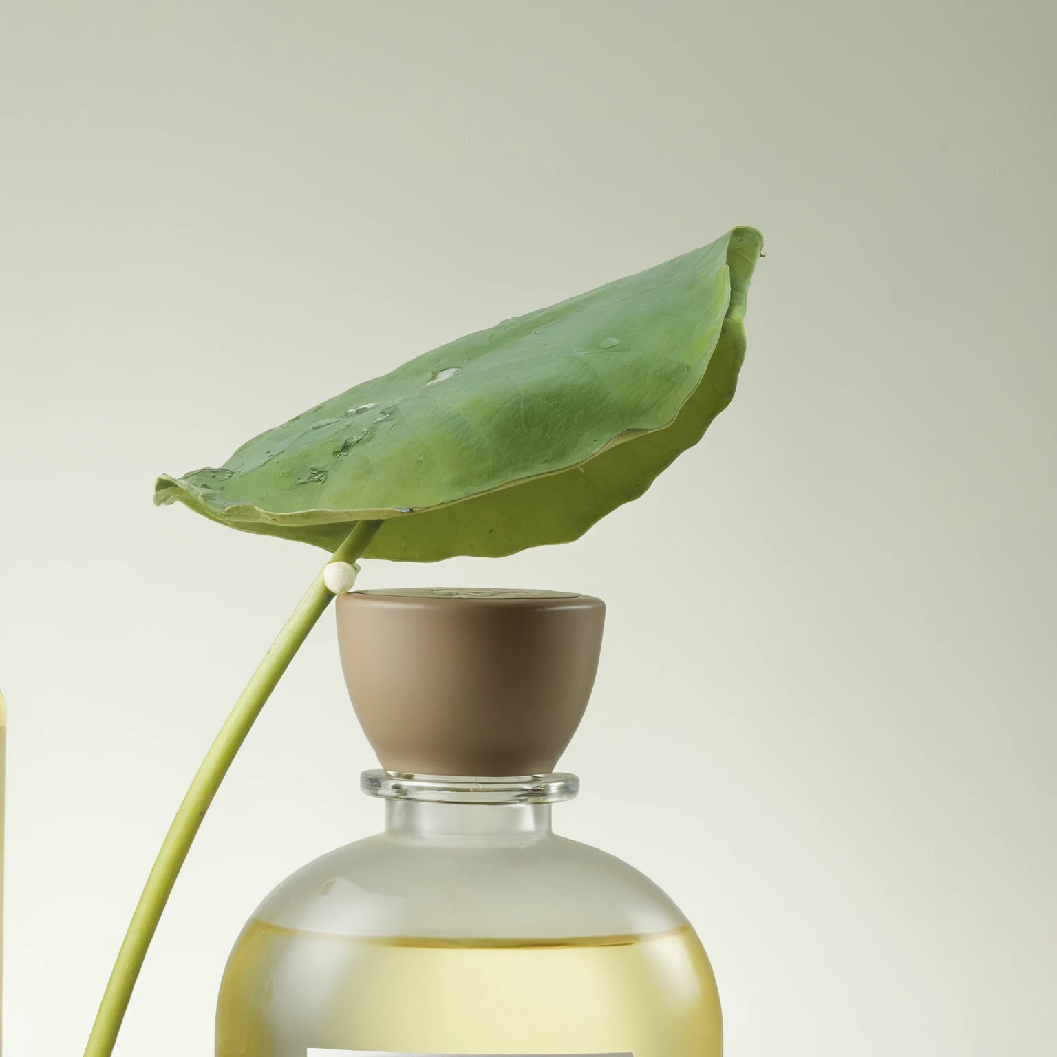 there is a bottle of liquid with a leaf on top, close-up product photo, professional product photography, botanical photo, product photography, beauty shot, studio product photography, highly detailed product photo, high quality product photo, commercial product photography, detailed product photo, botanicals, high quality product photography, professional product photo, high detail product photo, image apothecary