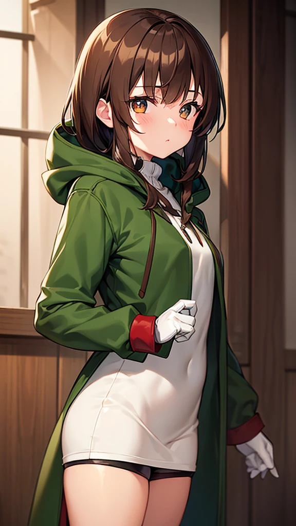 A girl character with brown hair who wears a dark green coat and a white shirt inside,wears red gloves and always wears a hood. It has round marks on both sides of the cheek