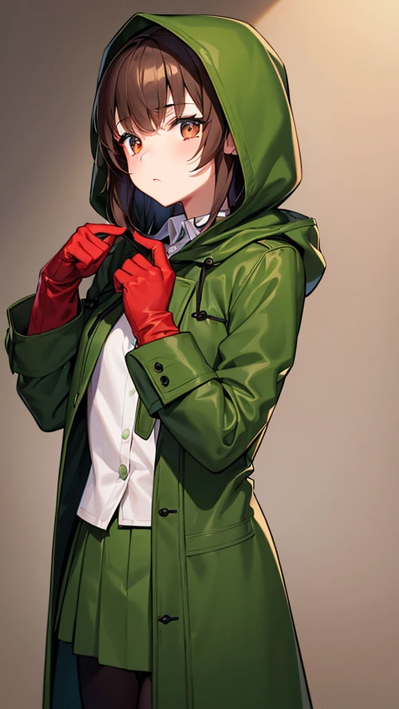 A girl character with brown hair who wears a dark green coat and a white shirt inside,wears red gloves and always wears a hood. It has round marks on both sides of the cheek