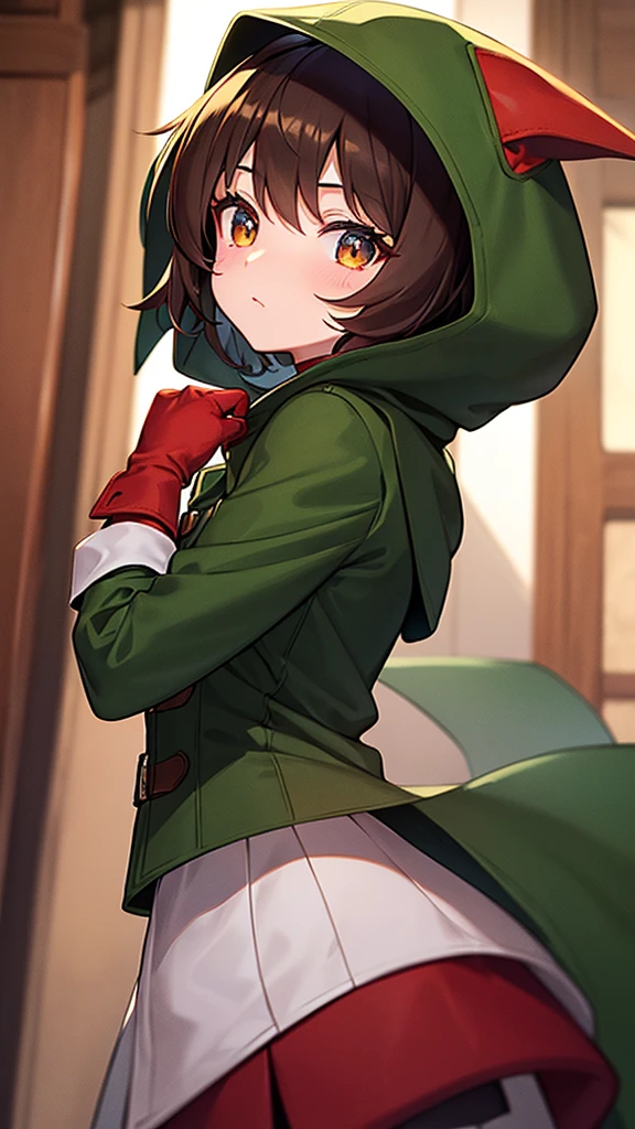 A girl character with brown hair who wears a dark green coat and a white shirt inside,wears red gloves and always wears a hood. It has round marks on both sides of the cheek