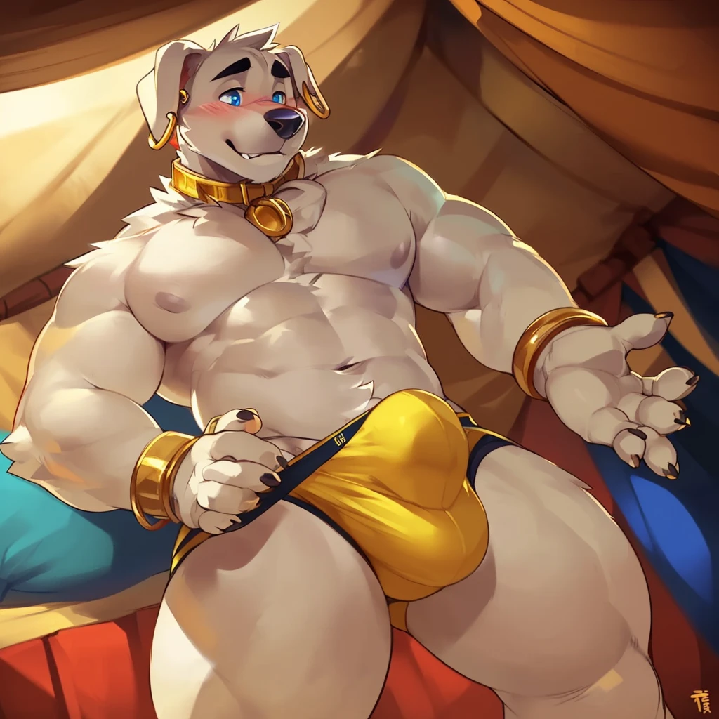 Solo, male (((retriever, muscular, white fur, white body, white fur, black eyebrows, black nose, blue eyes, folded ears, flustered expression, blush, ear piercing, ear ring, golden collar, gold cuffs, thin waist, underwear, big bulge))) standing, 5 fingers, tribal tent ((focus eyes, focus pupils, focus white body, focus white fur, focus 5 fingers, focus golden collar, focus underwear)) full body, perfect anatomy, adult character, by darkgem, by mystikfox61, by glitter trap boy