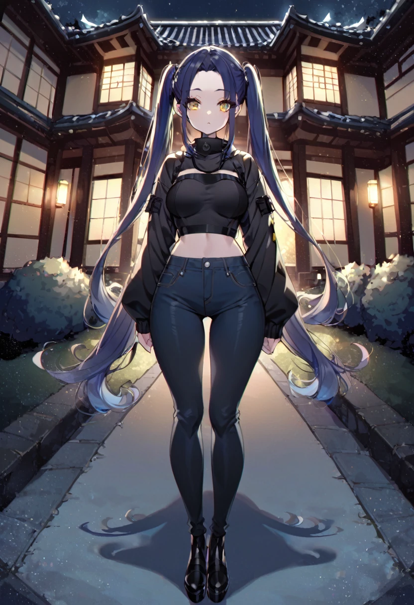 (One very tall woman,Dark navy blue hair,Her hairstyle is twin tails that expose her forehead.,Medium chest,yellow eyes)Black Techwear,Jeans pants,Background is a Japanese mansion at night,Shading