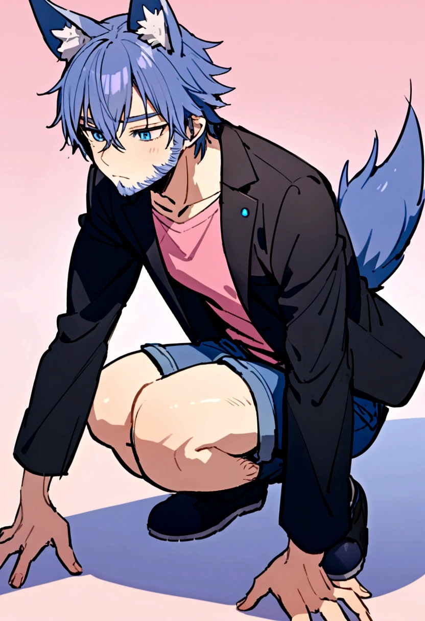 Male blue wolf with hairy squatting legs, open pose, blue jeans and pink shirts, black jacket, pink blue gradient background, blue eyes